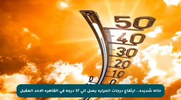 حالة شديدة.. ارتفاع درجات الحرارة يصل إلى 37 درجة في القاهرة الأحد المقبل